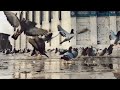 اللهم صلي وسلم وبارك على سيدنا ونبينا محمد محمدا بشر في نوره قمر بصوت الشيخ محمد دويدار mp3