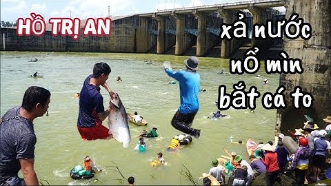 Hồ Trị An: xả nước, nổ mìn, bắt được cá to