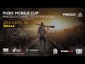 PUBG Mobile Cup #WorldConnectedSeries2020 | Финал