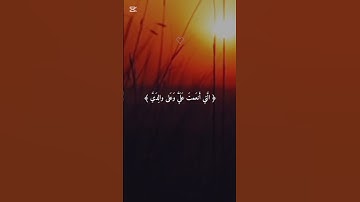 أرح قلبك قليلا 🎧😴 أفضل تلاوة القرآن الكريم بصوت جميل 💚 اللهم اجعل القرآن ربيع قلوبنا ونور صدورنا