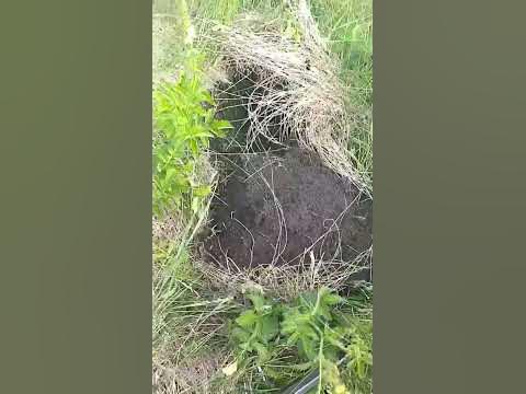 коп с хр деус - YouTube