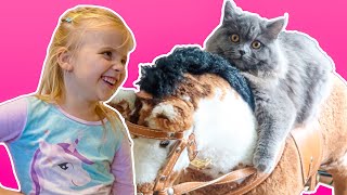 Wie gehts Paulinas neuen Katze?  Mit Katze spielen und füttern | KATZEN KINDERVIDEO