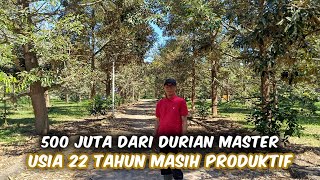 Download Lagu Kebun Durian Master Usia 22 Tahun Masih Produktif Cocok Buat Daerah Pesisir Pantai MP3 Download Lagu Kebun Durian Master Usia 22 Tahun Masih Produktif Cocok Buat Daerah Pesisir Pantai MP3