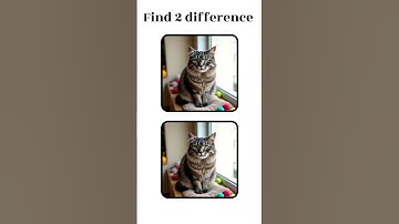🐈 Can You Find the Cat’s Trick? 😺 #CatChallenge #FindTheDifference #BrainTeaser