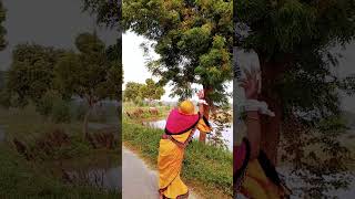 Nimariya Pay Char Kabutar short shorts viral dance avneeshekd youtubeshots