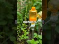 Creative Eco-Friendly Gardening Hacks for Gen Z and Millennials