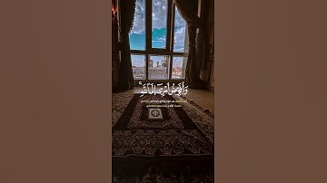 آلقران الكريم - سورة غافر_آلاية [ 44 ] القارئ سلمان العتيبي