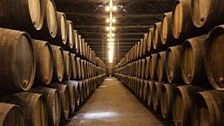 Delve into the history of port wine and Baron Joseph James Forrester’s lasting legacy