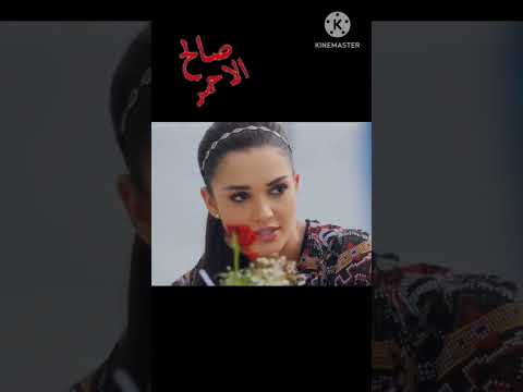 انت حبيبى وحدك نانسي عجرم