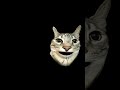 🤭😂 #viralvideos #shortvideo