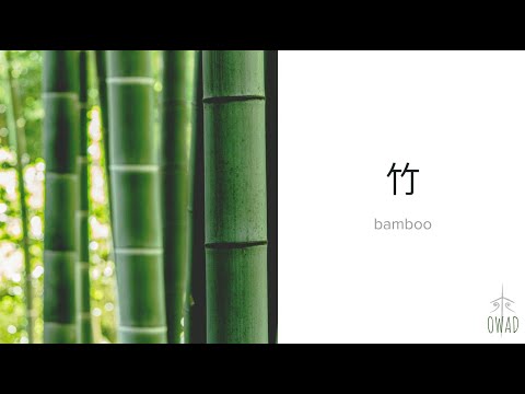 Bamboo 竹 S4E264 OWAD Learning Mandarin Chinese
