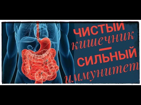 Сорбенты. Какие и зачем?