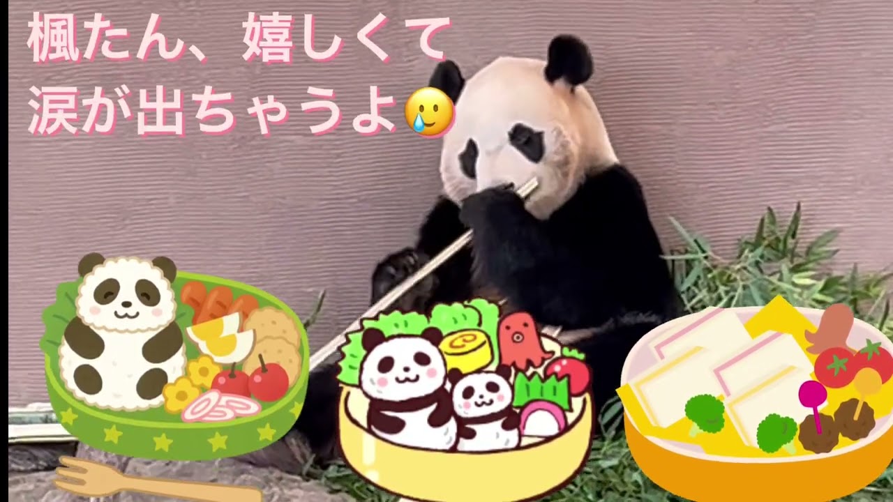 Всегда вместе 🩷