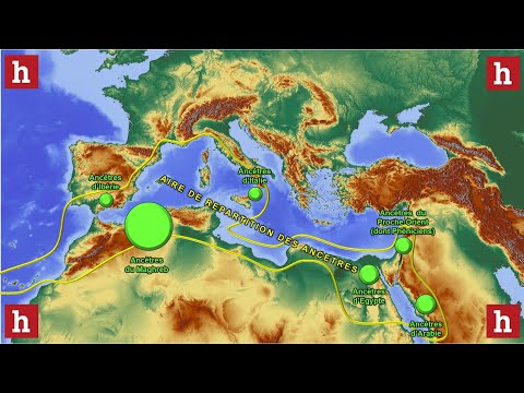 Histoire génétique des