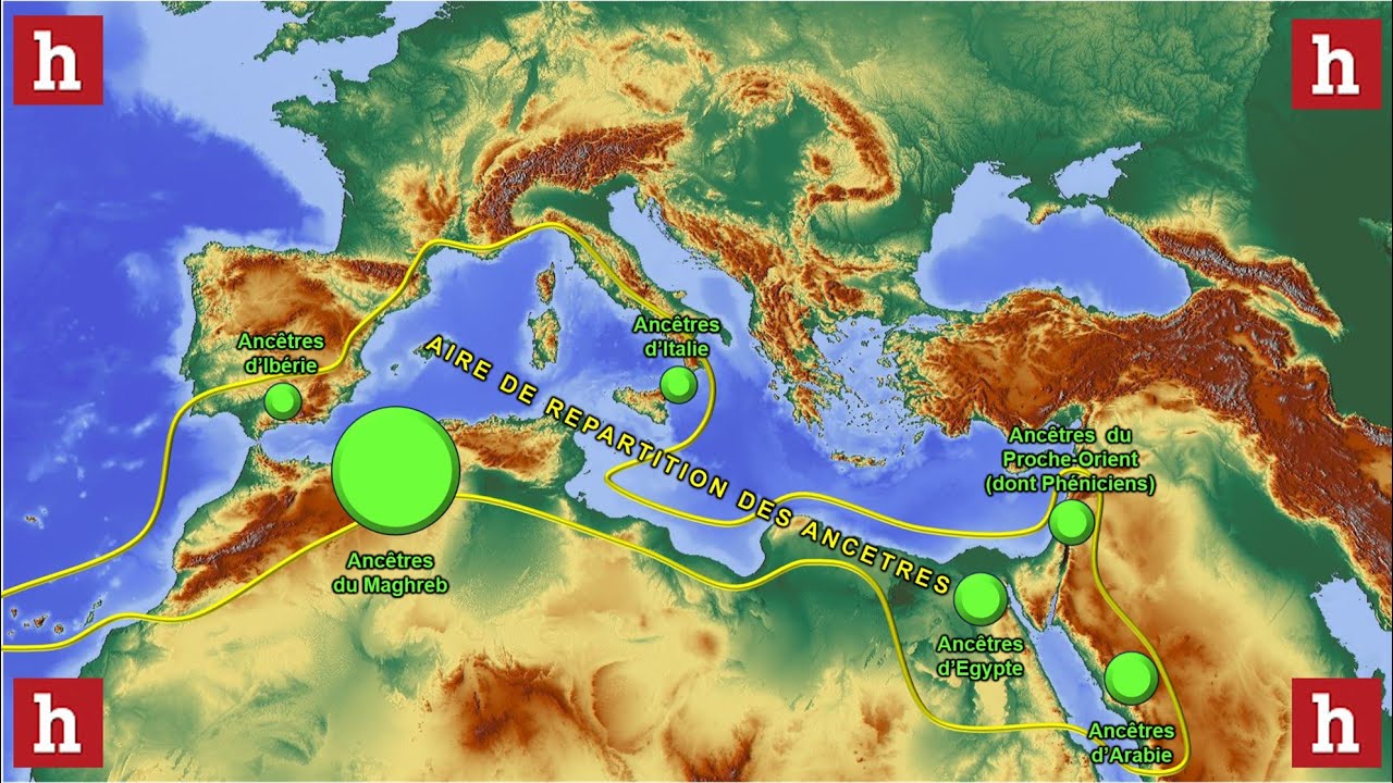 Histoire génétique des Maghrébins: où se trouvaient leurs ancêtres au cours du temps?