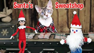 Elf Needs More Help by The Rockstar Cats 215 views 1 year ago 1 minute, 20 seconds