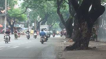 ĐỐN HẠ, DI DỜI 123 CÂY XANH ĐỂ MỞ RỘNG ĐƯỜNG