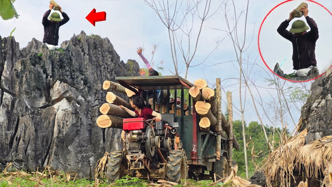  transporting timber was suddenly attacked by unknown assailants who threw stones at it#wood#tractor