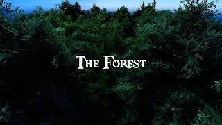 Epic Quest - The Forest - Animated maps for roleplaying and tabletop miniature games / D&D