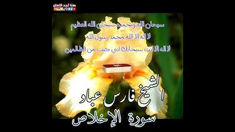 سورة الإخلاص | الشيخ فارس عباد،،، استغفر الله العظيم واتوب اليه