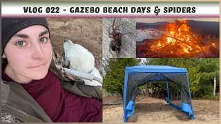 Vlog 022 - Gazebo Beach Days 🏖️  & Spiders 🕷️