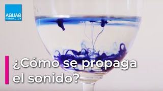 Averigua cómo se PROPAGA el SONIDO | Experimento