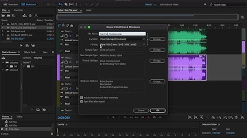 Adobe Audition Tutorial | Best Export Settings