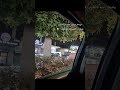 مهما قال المعيوب كلامه مش محسوب يخبط راسه فالطوب فعله عليه مغلوب