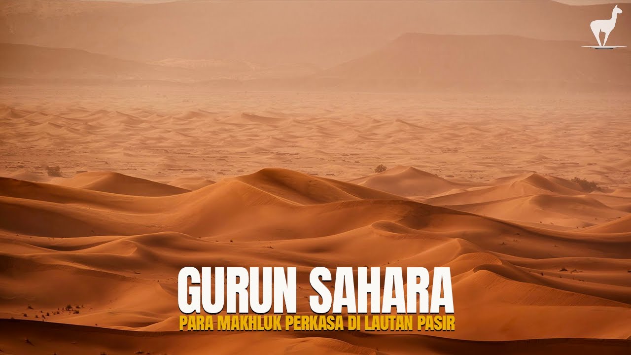 Gurun Sahara: Kehidupan Makhluk Perkasa di Lautan Pasir Terbesar Dunia