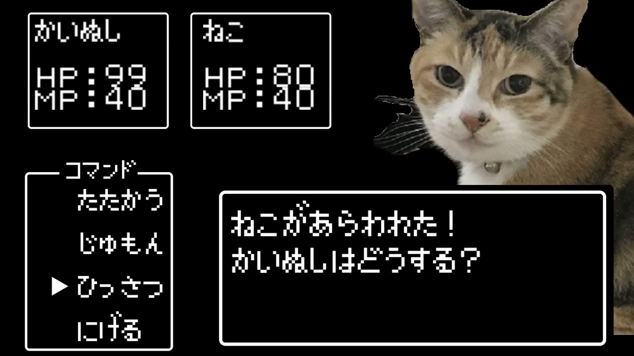 ねこがあらわれた Youtube