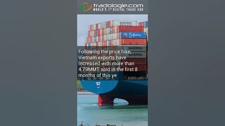 Vietnam Exports More Than 4 79 Million Tonnes Of Rice