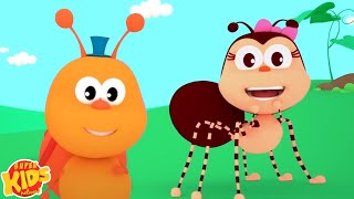 The Little Spider, Nursery Rhymes And Kids Songs