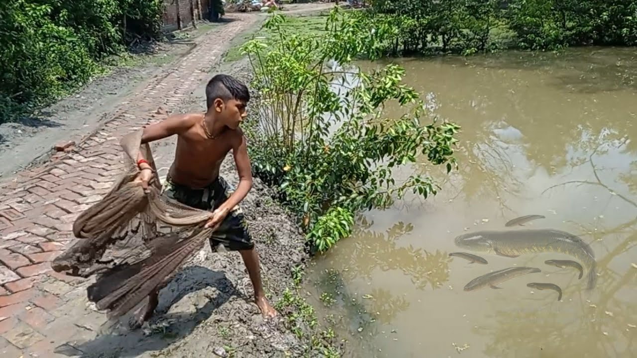 Amazing Boy Catching Big Catfish in Mud Water | Net Fishing for Catfish ...