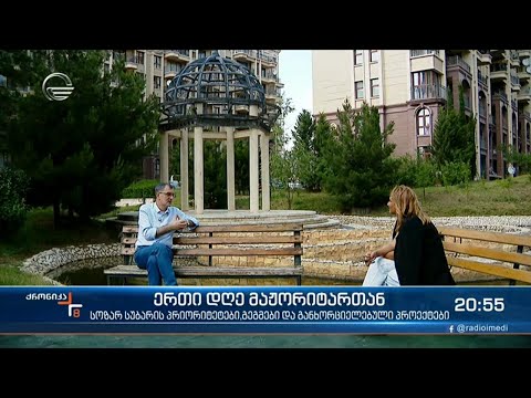 ერთი დღე მაჟორიტართან - სოზარ სუბარი