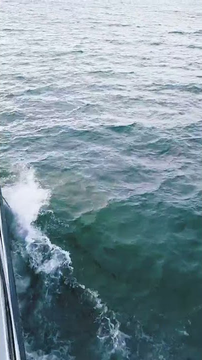 Story di Atas Kapal..