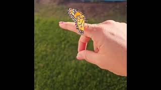 Butterfly effect A2E.AI