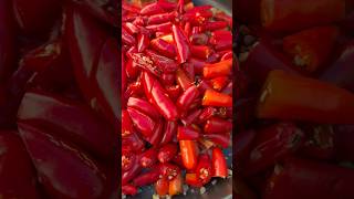Sizzlin’ Spicy Peppers! 🌶️🔥