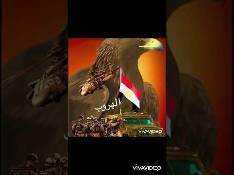 مصر يا أم الدنيا أحمد فرج الشريف مصر مصر النهاردة أحمد فرج الشريف