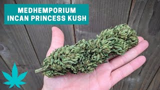 Incan Princess Kush CBD Hemp Review (Medhemporium)