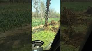 Powerful Excavator Uproot Skills | Land Clearing 🌳🚜🔥| Ep 56 #Shorts