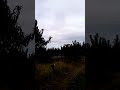 تعال يا الحبيب انت العسل وانت الحليب تعال يا الحبيب انت العسل وانت الحليب
