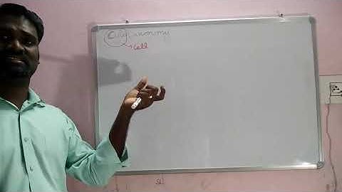 Phenetic classification