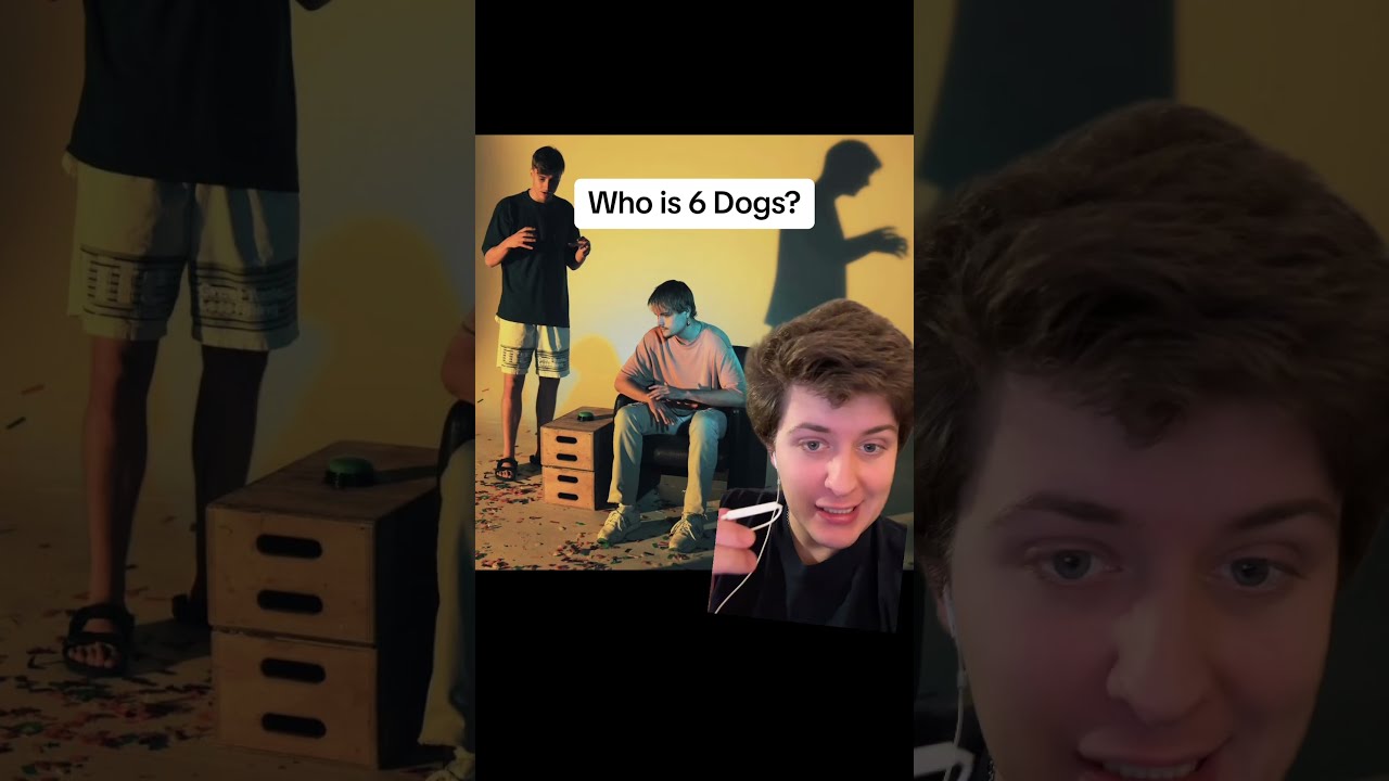 Who Is 6 Dogs 
