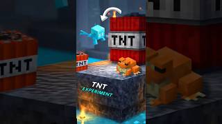 minecraft tnt experiment v285 #minecraft #meme #memes #shorts #shortsfeed