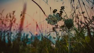 ANKA - Finesse