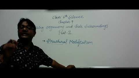 Class-6 Science Chapter-9 