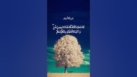 أَنِّي مَسَّنِيَ الضُّرُّ || سورة الأنبياء || عبد الباسط عبد الصمد