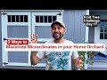 3 Way to Maximize Microclimates in your Home Orchard - Fruit Tree Challenge Day 17