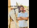 Mehidi Ahgar Ahgar Akaline