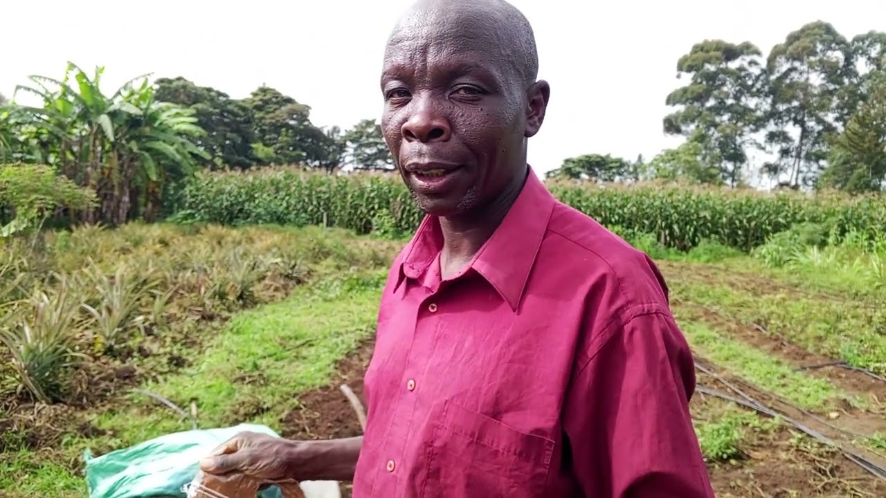 How to prepare Nursery